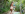 Nudist Resort Romp Gallery Image