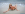 Jodi West On The Beach Gallery Image