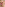 Big Dick Encounters 4 Image
