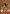 Big Butt All Stars: Nyomi Banxxx Boxcover