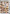 Lexington Steele's Massive White Asses Boxcover