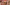 Elven Hostilities large Image