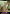 Hardcore Anal For Lewd Teen On Sofa Boxcover
