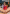 Katja Kassin & Otto Bauer Suck Fuck Anal A2M Facial Collector Scene Boxcover