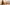 Tiny Girl Alexia Sexy Audition large Image