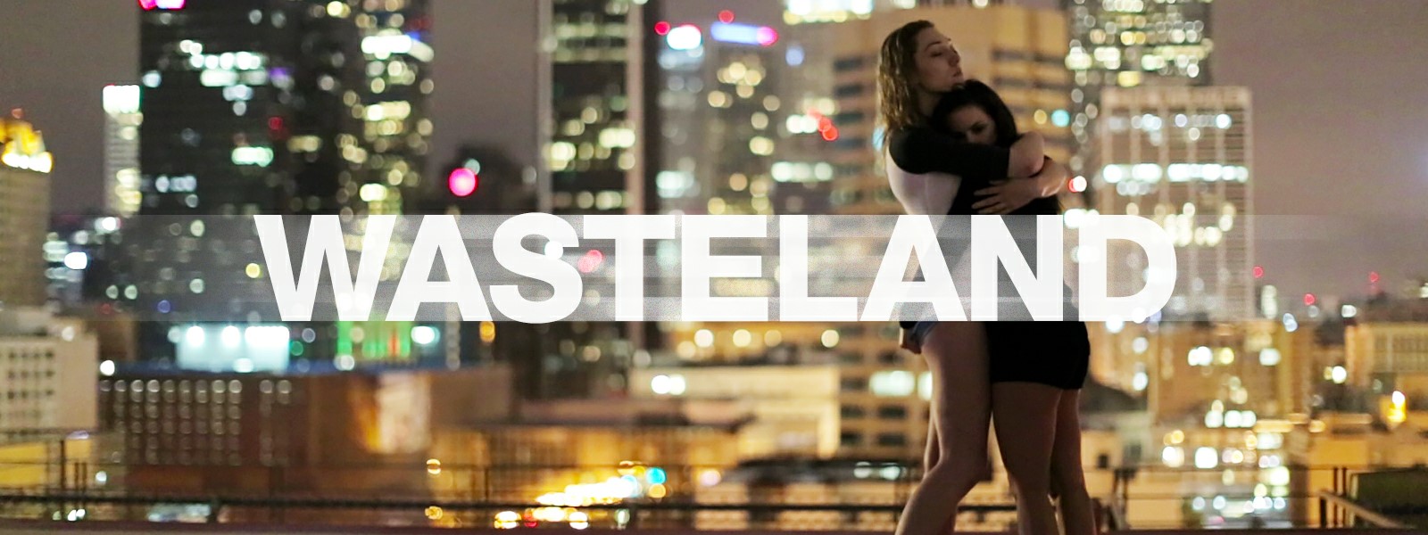 Wasteland Poster Image