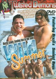 Wild Summer Boxcover