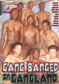 Gang Banged In Gangland Boxcover