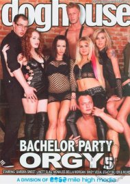 Bachelor Party Orgy 5 Boxcover