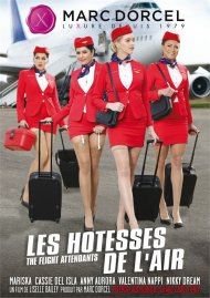 Les hotesses de l'air Boxcover