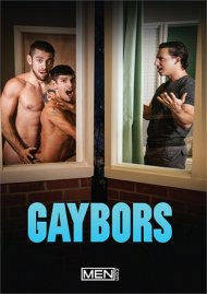 Gaybors Boxcover