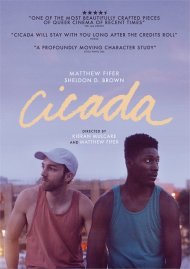 Cicada Cicada Boxcover