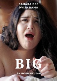 Big (Junk Productions) Boxcover