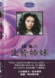 H-34 Slave Sisters Boxcover