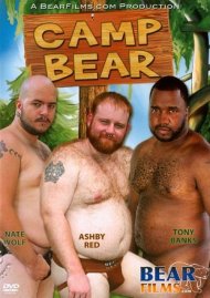 Camp Bear Boxcover