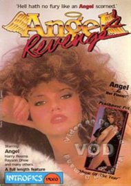 Angel's Revenge Boxcover