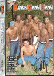 Black Gang Bang #14 Boxcover