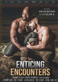 Enticing Encounters Boxcover