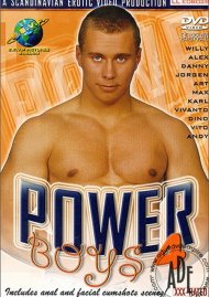 Power Boys 4 Boxcover