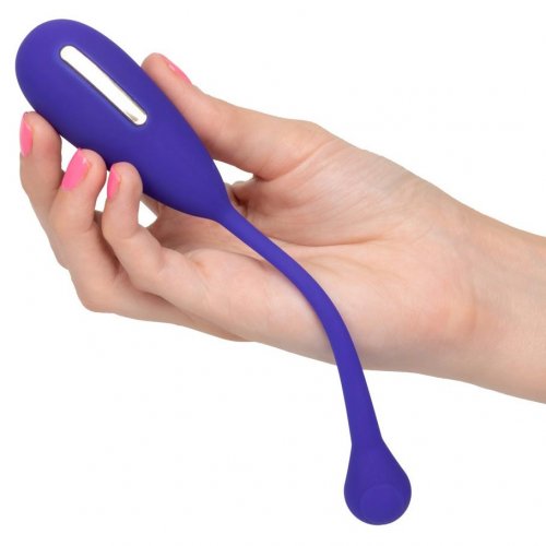 Impulse Intimate Estim Kegel Exerciser Purple Sex