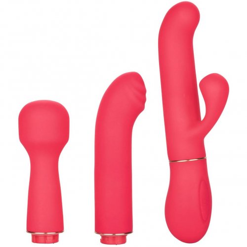 In Touch Passion Vibrator Trio Kit Pink Sex Toys And Adult Novelties