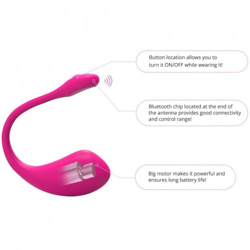 remote control adult toys