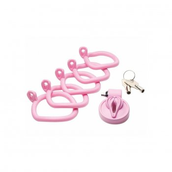 Master Series Pussification Vulva Chastity Cage Image