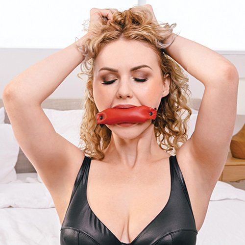 Sportsheets Saffron Soft Bit Gag Sex Toys And Adult Novelties Adult