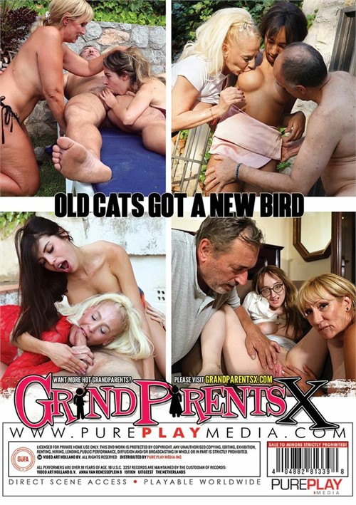 Old Cats Got a New Bird