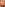 Granny Fucks a Tranny Image