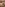 265 Guy Cream Pie Image