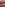 Joey Buttafuoco Caught on Tape Image