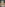 Bareback Bisex Cream Pie Film 6 Image