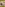 Mondo Extreme 86: Amateur Big Titty MILF Explosion Image