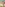 ATK Galleria Vol. 11: Blonde Bombshells Image
