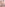 Tranny Cock-Suckers 3 Image