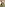 Belladonna: No Warning 5 Image