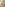 Latina Sex Tapes Image