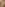 Sauna Girls Image