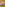 Mondo Extreme 106: Cock Starved Amateur Cougars Image