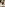 Torn Image