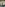 POV Pervert #16 Image