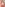 Titty Bar Teasers Image