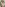 We Wanna Gangbang Your Mom 19 Image