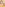 Big Tit Paradise 5 Image