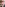Porn Fidelity's Madison's In Mexico Image