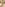 Miss Big Dick Brazil #3 Image