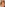 Ryan Ryans Experience, The Image