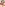Mature Pubes Image