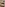 Big Boob Anal MILFS Image